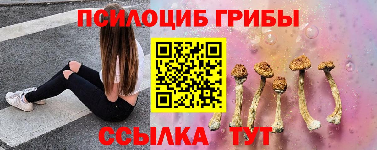 Псилоцибиновые грибы Psilocybine cubensis Королёв